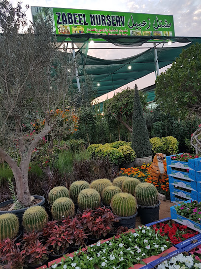 حضانة زعبيل مشتل زعبيل - United Arab Emirates|Warsan 3 - Dubai|1 Dina Home St