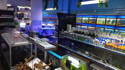 أروانا أكواريوم والحيوانات الأليفة - رأس الخيمة - +971 4 266 6344
