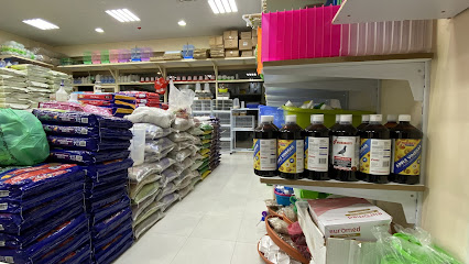 سمنان بيرد زينة للتجارة - رأس الخيمة - +971 50 943 7274