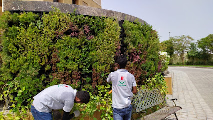 حدائق الاحلام للتجارة ذ - United Arab Emirates|Warsan 3 - Dubai|Plant Souq