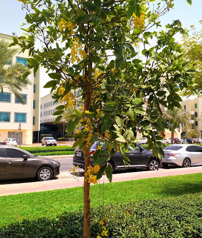 سكون للتأمين (شركة عمان للتأمين سابقاً) - DOZ - دبي - +971 4 233 7777