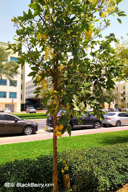 سكون للتأمين (شركة عمان للتأمين سابقاً) - DOZ - United Arab Emirates|Academic City - Dubai|Dubai Outsource Zone