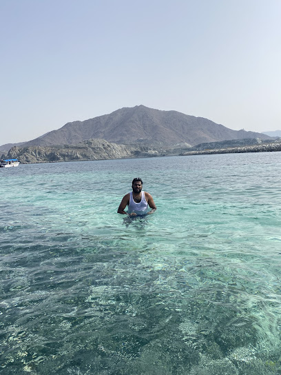 جزيرة القرش - United Arab Emirates