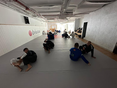 ديلاريفا جيو جيتسو أبوظبي - دبي - +971 50 709 7276