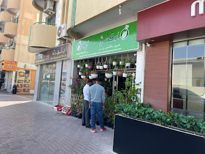 أوكسي جرين بلانتس ذ م م - رأس الخيمة - +971 4 358 3884
