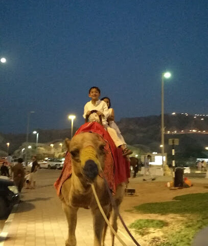المبزرة الخضراء لركوب الخيل - الفجيرة -