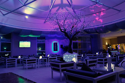 سكاي لاونج 31 - دبي - +971 2 495 3916