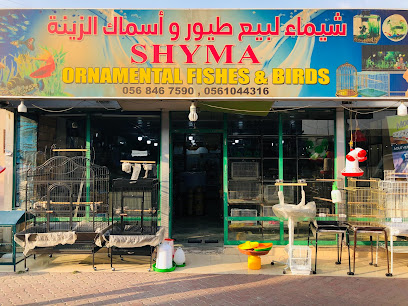 شيما لأسماك وطيور الزينة - رأس الخيمة - +971 56 846 7590
