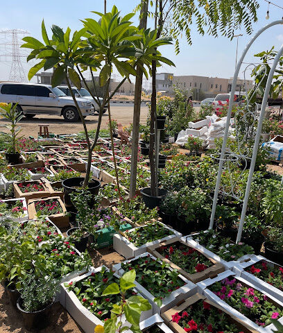 حضانة نباتات اوهت الورود - رأس الخيمة - +971 55 667 3383