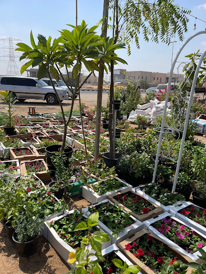 حضانة نباتات اوهت الورود - United Arab Emirates|Helio 2 - Ajman|Sheikh Zayed St