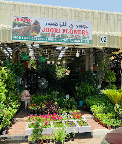 زهور جوري - رأس الخيمة - +971 55 608 4605