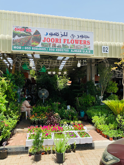 زهور جوري - United Arab Emirates|Ajman|Unnamed Road|9FRH+PC2