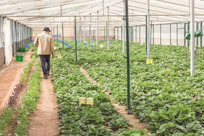 Mawasim Organic مواسم العضوية - الفجيرة - +971 2 554 4038