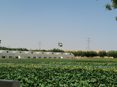 Emirates Bio Farm مزرعة الامارات البيولوجية - الفجيرة - +971 3 783 8422