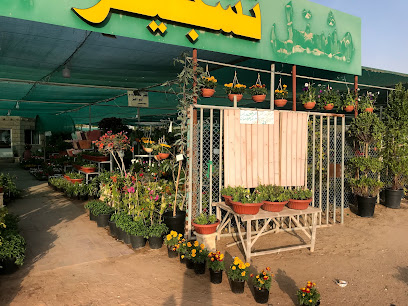 حضانة تشجير (محل نباتات) - رأس الخيمة - +971 58 588 3444