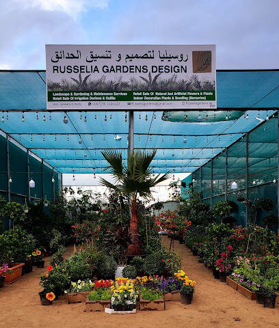 روسيليا جاردنز ديزاين ذ م م - دبي - +971 56 102 0123