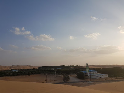 مسجد البوعينين ليوا - مسجد البوعينين ليوا - الفجيرة -