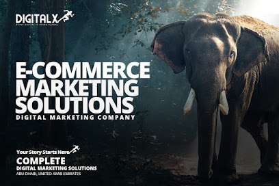 DigitalXRun - دبي - +971 56 626 2373