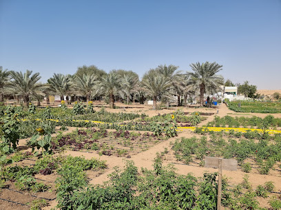 مزرعة وتخييم جرين هيفين - الفجيرة - +971 58 616 1360