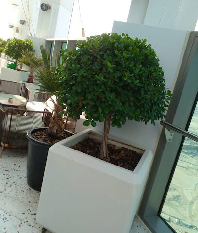 حديقة سوق - رأس الخيمة - +971 58 512 0600