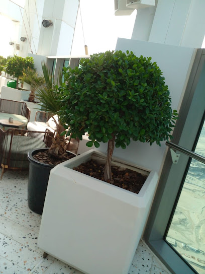 حديقة سوق - United Arab Emirates|Al - Warsan 3 - Dubai|Florestic Garden Street