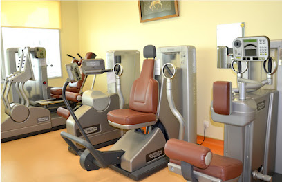 العلاج الطبيعي - رأس الخيمة - +971 4 344 0250