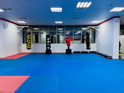 نادي الكيك بوكسينغ المحترف ، النهدة 2 ، دبي - دبي - +971 58 858 3703