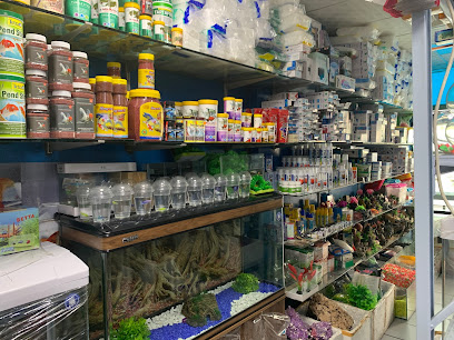 الحديقه لملكه لاسماك الزينه Al Hadiqah Al Maeyah Ornamental Fish Trading - رأس الخيمة - +971 50 807 2105