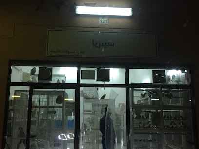 متجر سيبيريا للطيور - رأس الخيمة - +971 55 603 3336