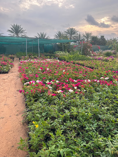 حضانة وادى الحلو - United Arab Emirates|Fujairah|Unnamed Road