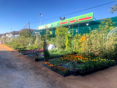 حضانة سلمان ش - United Arab Emirates|Fujairah|Masafi Dhaid Road Friday Market