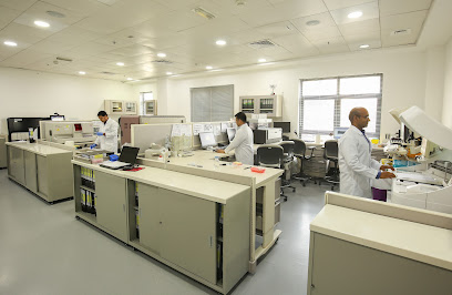 SRL Diagnostics- دبي - الفجيرة - +971 4 448 3100