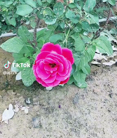 ستوديو وادي الريان - رأس الخيمة - +971 55 164 4914
