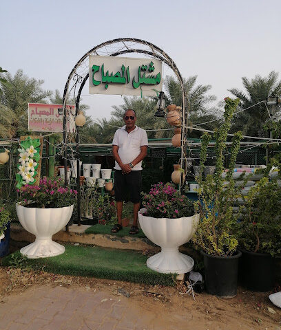 حضانة - رأس الخيمة - +971 55 217 6582