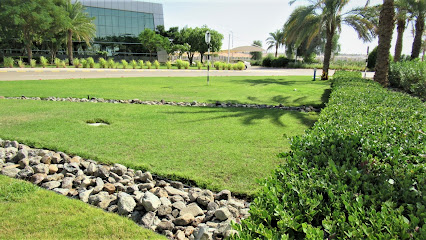 ديسكفري لخدمات المناظر الطبيعية والبستنة - دبي - +971 2 555 5219