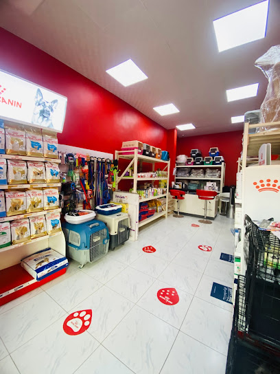 صالون المينا للعناية بالحيوانات الاليفة - United Arab Emirates|Al Rawda 3 - Ajman|Sheikh Ammar Bin Humaid St|9GX3+7PG