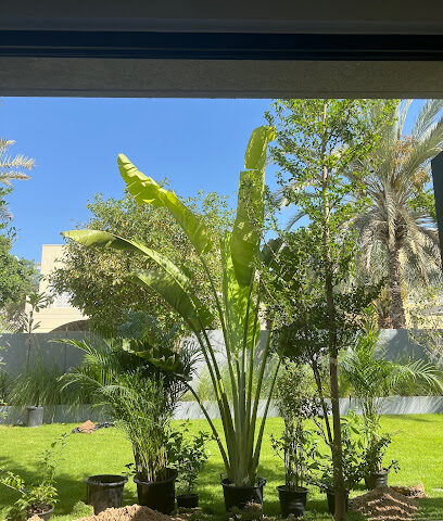 Plantsworld.aeI متجر النباتات عبر الإنترنت الأكثر ثقة في الإمارات العربية المتحدة داخليًا وخارجيًا - رأس الخيمة - +971 52 427 9966