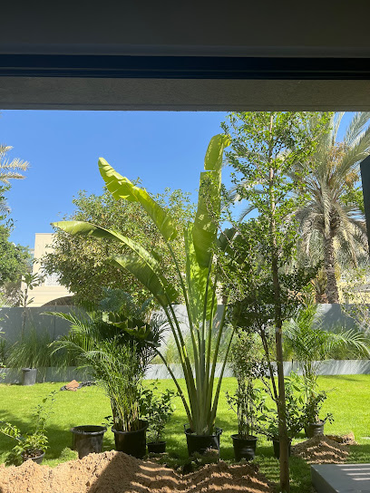 Plantsworld.aeI متجر النباتات عبر الإنترنت الأكثر ثقة في الإمارات العربية المتحدة داخليًا وخارجيًا - United Arab Emirates|International City - Dubai|Shop No-8|Greece L14
