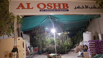 حضانة أوش بي - رأس الخيمة - +971 50 456 2353