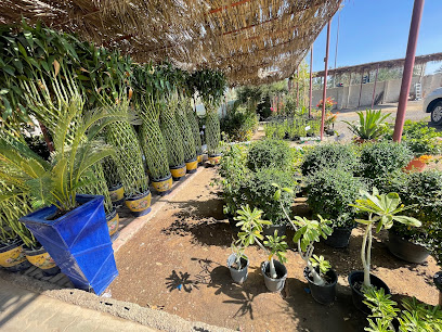 حضانات جاردن سنتر - رأس الخيمة - +971 50 396 9516