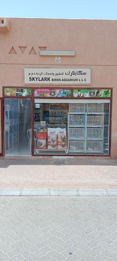 حوض الطيور Skylark Bird LLC - United Arab Emirates|Al Noud - Abu Dhabi|1 An Nama-a 5 St
