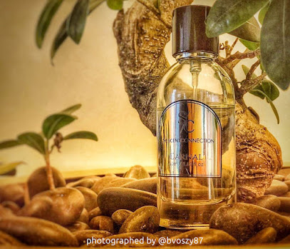 اتصال الرائحة - رأس الخيمة - +971 58 543 0229