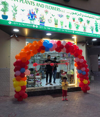 صوفيا للنباتات والزهور ذ - رأس الخيمة - +971 6 743 0059