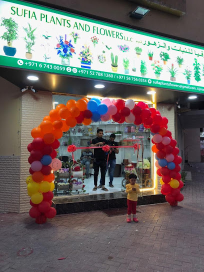 صوفيا للنباتات والزهور ذ - United Arab Emirates|2 Al Nuaimia - Ajman|شارع ثابت بن قيس|9CPX+W43