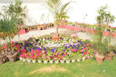 نوابض المدينة للمناظر الطبيعية - United Arab Emirates|Dubai|Al safa 1 Al safa park complex|Nearly mobile shop
