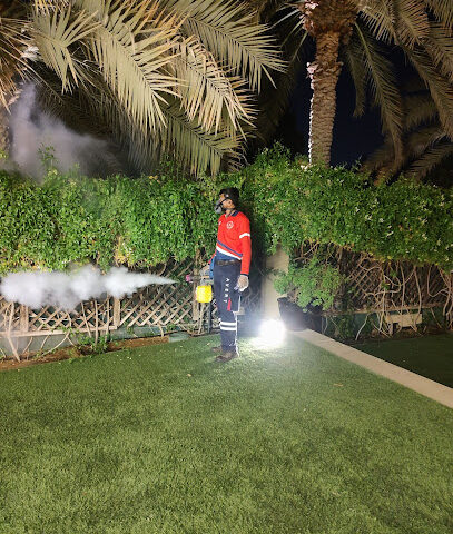 تجنب خدمات النظافة لمكافحة الآفات - رأس الخيمة - +971 50 334 0956