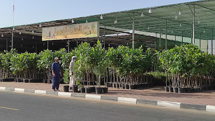 مشتل الصحراء الذهبية - رأس الخيمة - +971 56 565 6507