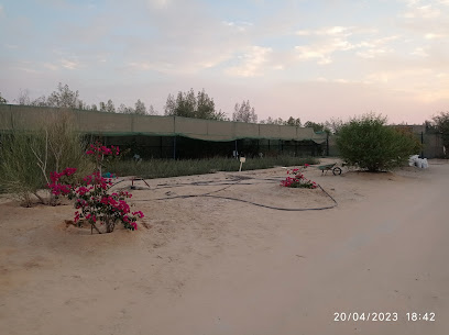 حضانة غياثي - United Arab Emirates|Ghiyathi - Abu Dhabi|VQHW+529