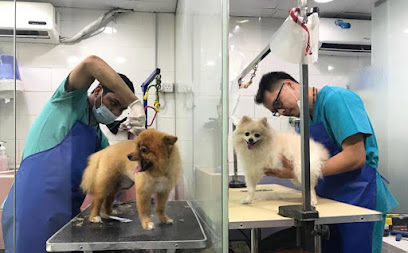 CVC- الكناري البيطري. عيادة - رأس الخيمة - +971 6 568 0803