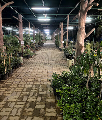 حضانة النرجس - رأس الخيمة - +971 3 754 4107